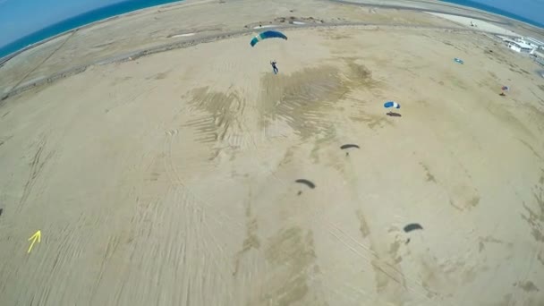 Skydiver is landing on parachute — Stok video