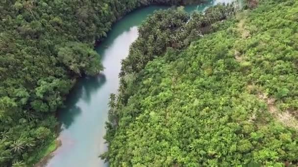 Fliegen über einen malerischen Fluss und tropische Natur. Drohnenschuss aus der Luft — Stockvideo