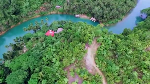 Volare su un fiume panoramico e natura tropicale. Aereo drone colpo — Video Stock