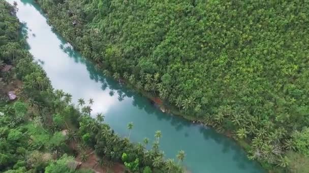 Voando sobre um rio cênico e natureza tropical. Drone aéreo disparado — Vídeo de Stock