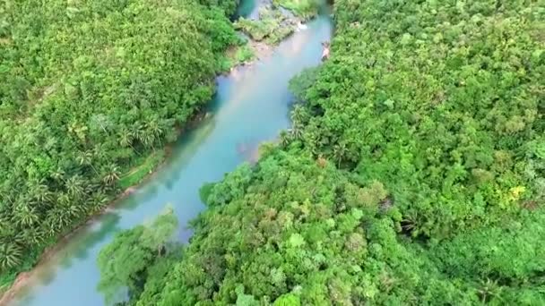 Volando sobre un río pintoresco y la naturaleza tropical. Disparo aéreo con drones — Vídeos de Stock