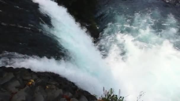 Extreme kayaking in Veracruz, Mexico — Stock Video