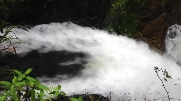 kayak extrême en Veracruz, le Mexique 