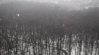 Şehir Parkı içinde yoğun kar yağışı, havadan görünümü