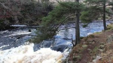 Düşük güç şelale doğal görünümünü on nehir Tees, County Durham, İngiltere
