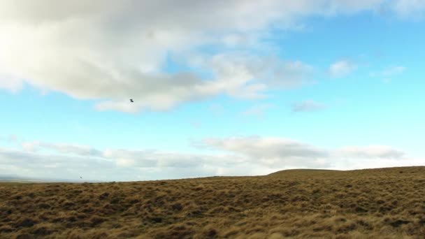 Kluzák silueta v nebi, zemi Durham, severní Anglii, zimní den — Stock video