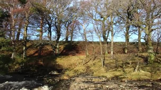 Malerischen Blick auf niedrige Kraft Wasserfall auf dem Fluss Abschläge, County Durham, Großbritannien — Stockvideo