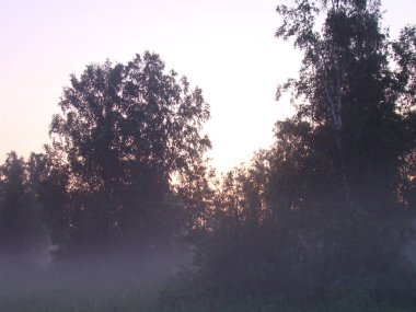 Manzara. Nehir kıyısında, sabah sisinde göl. Sonbahar sonu