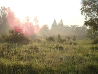 Manzara. Nehir kıyısında, sabah sisinde göl. Sonbahar sonu