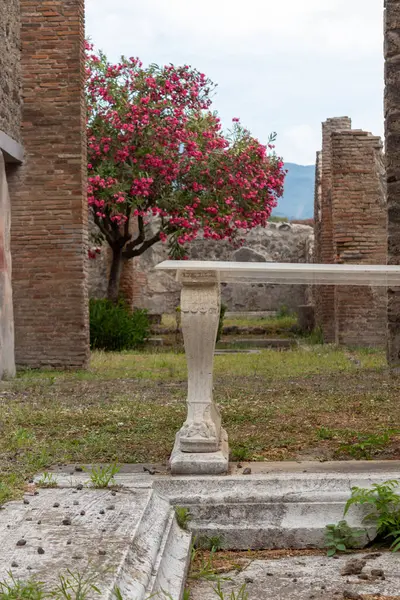 ローマ時代のポンペイ、ナポリ、イタリアの遺跡のヴィラの中庭 — ストック写真