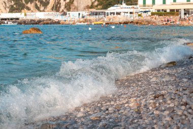 Büyük ayçiçeği tarlası. Doğanın bileşimi.
