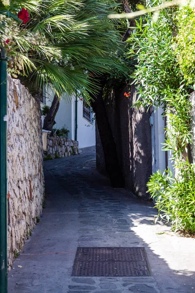 Vibrant Flower Draped Pathway Capri Italy — Stock Photo, Image