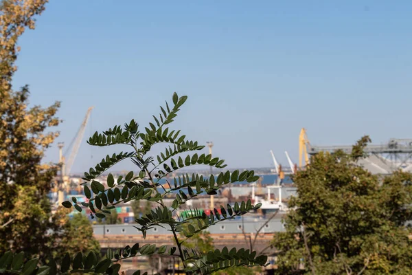 Ucrânia, Odessa. Cremalheira de porto de transporte de mercadorias para o porto de Odessa. — Fotografia de Stock