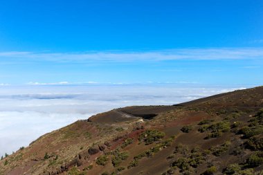 Tenerife 'nin yeşil ağaçları ve eşsiz manzaralı dağlık arazisi
