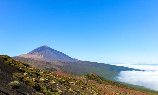 Горный ландшафт на Тенерифе с зелеными деревьями и непревзойденным видом