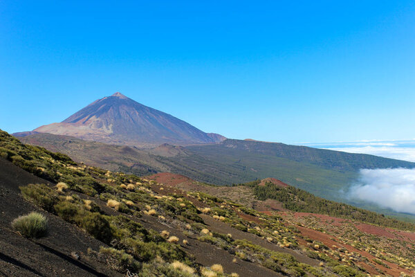 Горный ландшафт на Тенерифе с зелеными деревьями и непревзойденным видом на Канарские острова