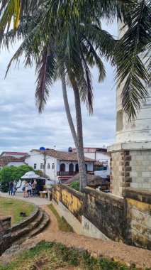Galle, SRI LANKA- Mart 01: 2025 Galle, Sri Lanka kasabasında deniz feneri ve palmiye ağaçları.
