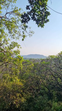 Sri Lanka 'daki dağ sırasındaki yeşil orman ve tepelerle çevrili güneşli vadi manzarası