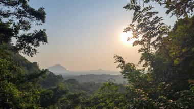 mavi gökyüzü üzerinde kuru ağaç.