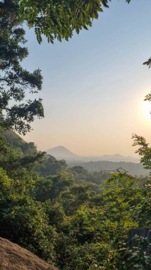 Dambulla yakınlarındaki Sri Lanka tepeleri. Sri Lanka