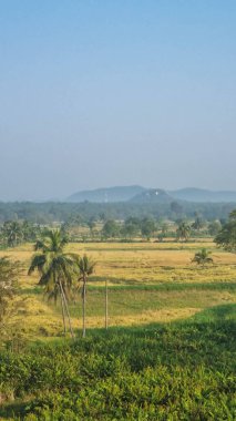 Bereketli yeşil çay tarlaları, sakin bir göl kenarındaki yuvarlak tepeler boyunca uzanır. Arka planda ise Sri Lanka kırsalının manzaralı güzelliğini gözler önüne seren dolambaçlı yollar ve puslu dağlar vardır..