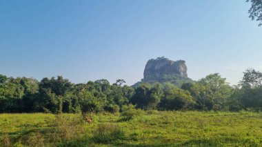 Iconic Sigirya Kayası yemyeşil ile çevrili..