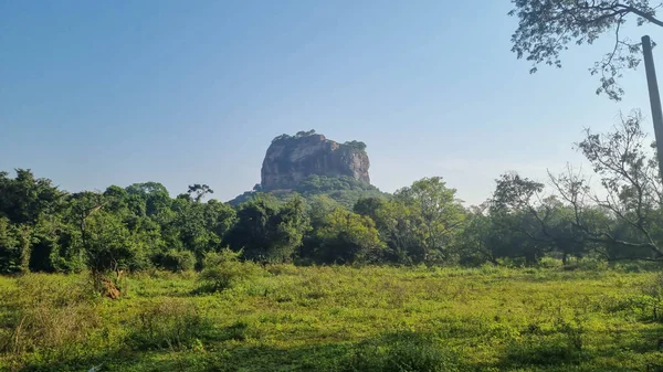 Iconic Sigirya Kayası yemyeşil ile çevrili..