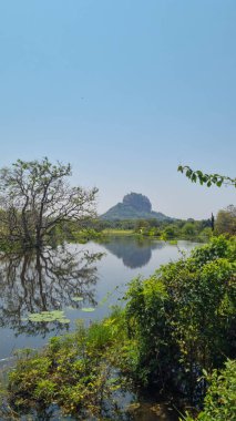 Iconic Sigirya Kayası yemyeşil ile çevrili..