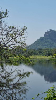 Iconic Sigirya Kayası yemyeşil ile çevrili..