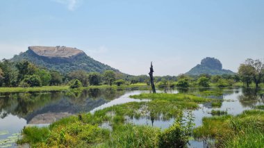 Sigiriya ve Pidurangala kaya gölü manzarası