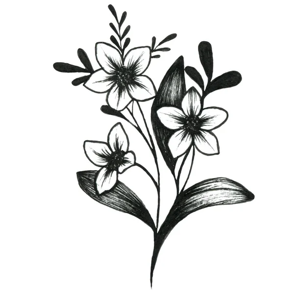 Esquema gráfico ilustración de flores. Para el diseño. — Foto de Stock