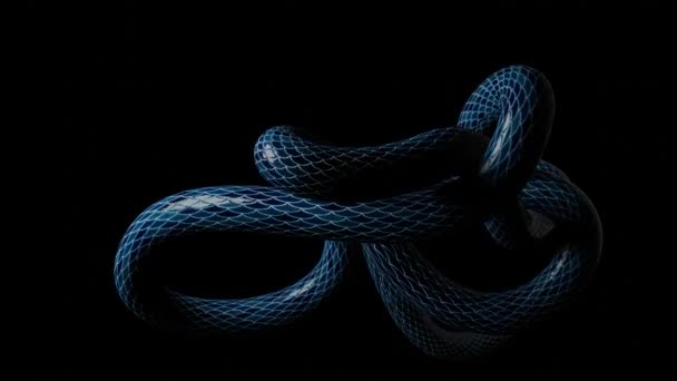 Representación en 3D de un cuerpo de serpiente deslizante — Vídeos de Stock