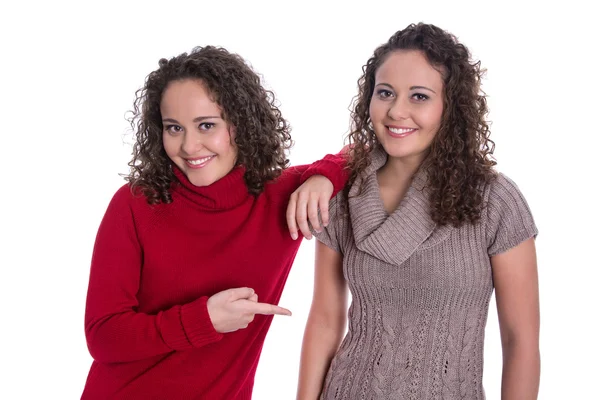 Meninas felizes: Retrato de gêmeas reais usando pullov de inverno Imagens De Bancos De Imagens Sem Royalties