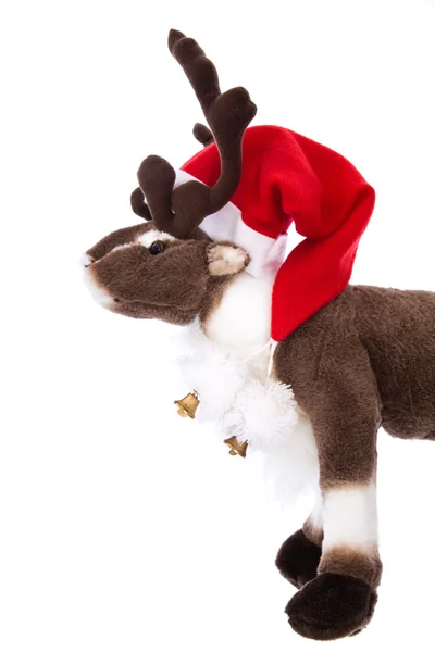 Isolerade mjukisdjur: renen Rudolf med röda jul hatt. — Stockfoto