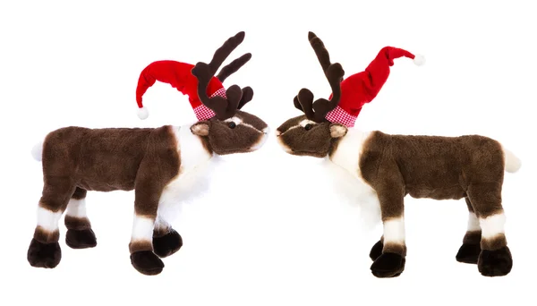 Animal love: two reindeer or elk with santa hat for christmas de — Stock Photo, Image