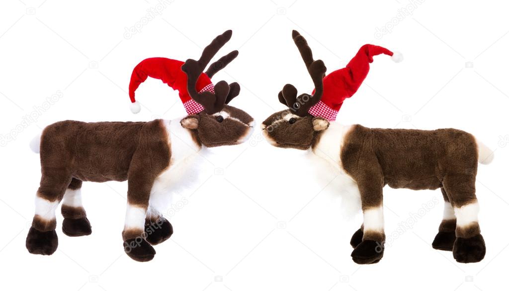 Animal love: two reindeer or elk with santa hat for christmas de