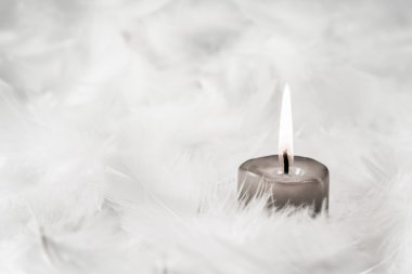 One grey burning candle on white background with feathers. clipart