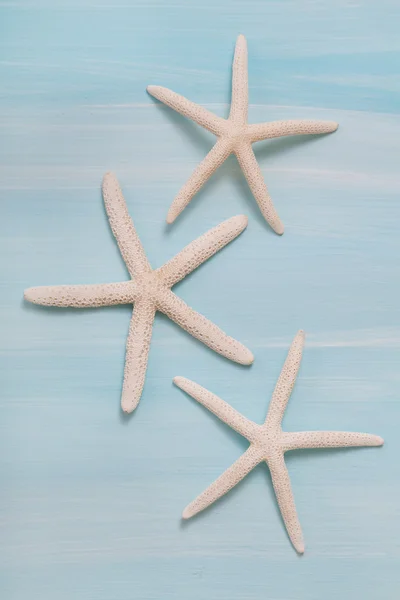 Three white starfishes on blue ocean background. Maritime decora — Stock Photo, Image