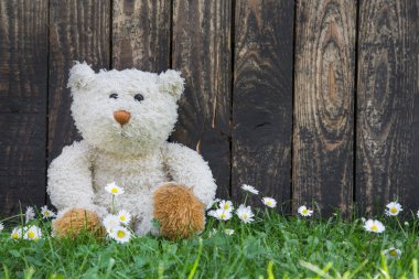 Cute teddy bear sitting alone in the green with old wooden backg clipart