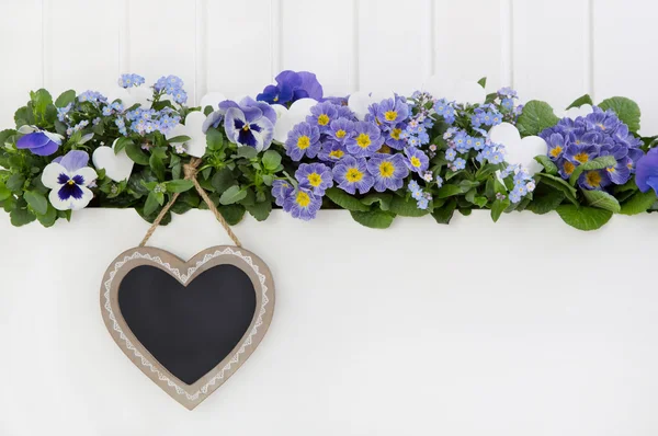 Våren blomma bakgrund i blått och violett med ett tecken på hjärtat — Stockfoto