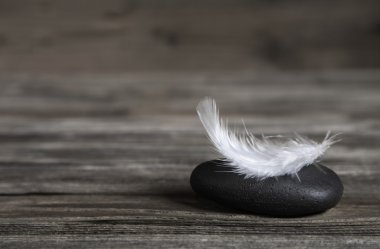 White feather on a black stone: idea for a condolence card. clipart