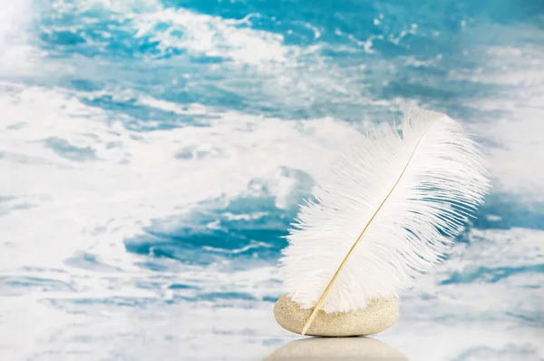 White feather on a blue turquoise background for literature conc — Stock Photo, Image
