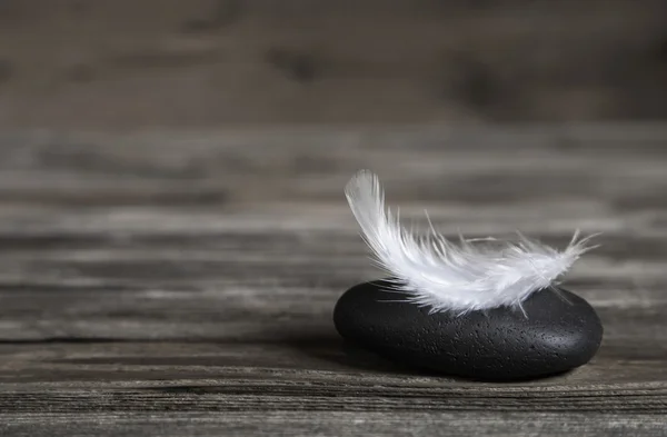 White feather op een zwarte steen: idee voor een condoleanceregister kaart. — Stockfoto