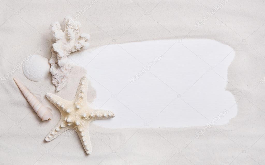 Maritime nautical background or sign with shells and starfish fo