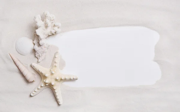 Maritimer nautischer Hintergrund oder Schild mit Muscheln und Seesternen — Stockfoto