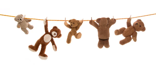 Grup oyuncak ayıların mandal bir giyim hattı üzerinde asılı. — Stok fotoğraf