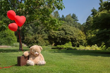 Sad and lonesome teddy bear with red hearts balloons. Concept fo