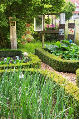 Old romantic farm garden in the summer.