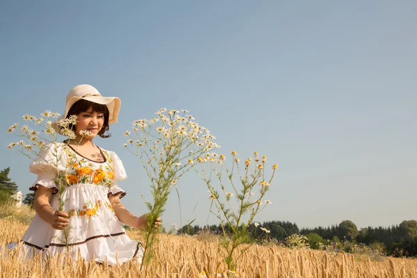 Joven chica feliz caminando en un campo de trigo y recoge flores . —  Fotos de Stock