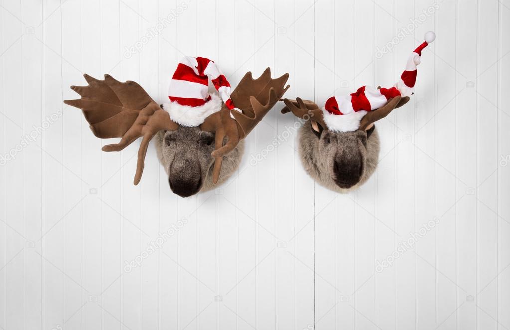 Couple of reindeer hanging on a wall for christmas decoration.